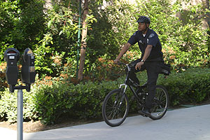 bicycle guard